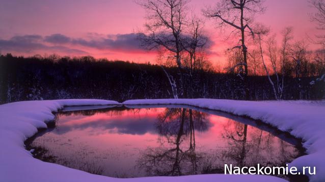 Практика. Задания с картинками