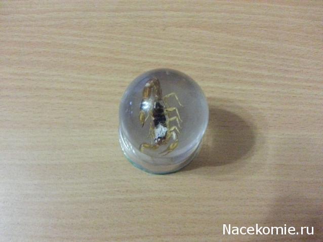 Чудеса Природы. Подписка