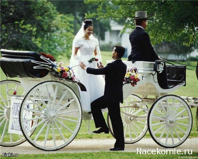 Практика. Задания с картинками