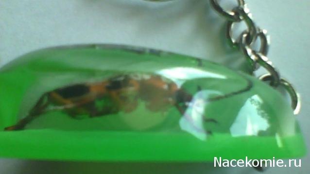 Насекомые в Акриле НЕ из Журнала