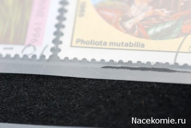 Филателистическое оборудование