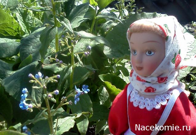 Куклы в народных костюмах №61 Кукла в жатвенном костюме Олонецкой губернии