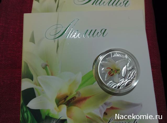 Коллекции пользователей. Нумизматика и бонистика