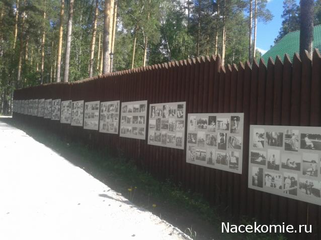 Тестовая серия