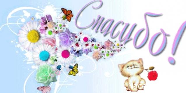 Дом Мечты наши дни рождения