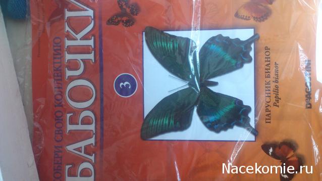 Собери свою коллекцию. Бабочки - ДеАгостини - тест