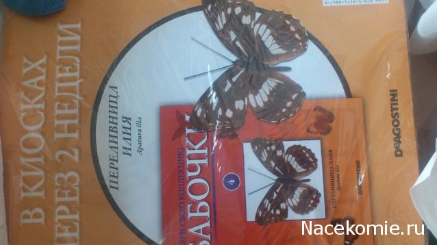 Собери свою коллекцию. Бабочки - ДеАгостини - тест