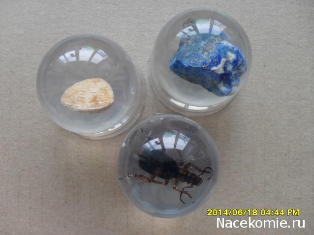 Чудеса Природы. Подписка