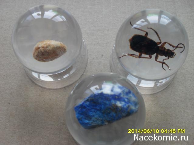 Чудеса Природы. Подписка