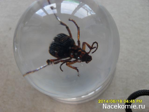 Чудеса Природы. Подписка