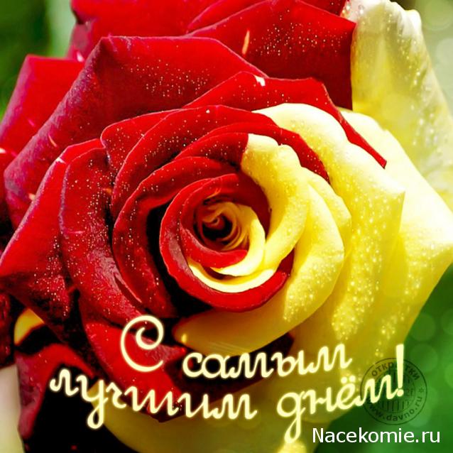 Наши Дни Рождения