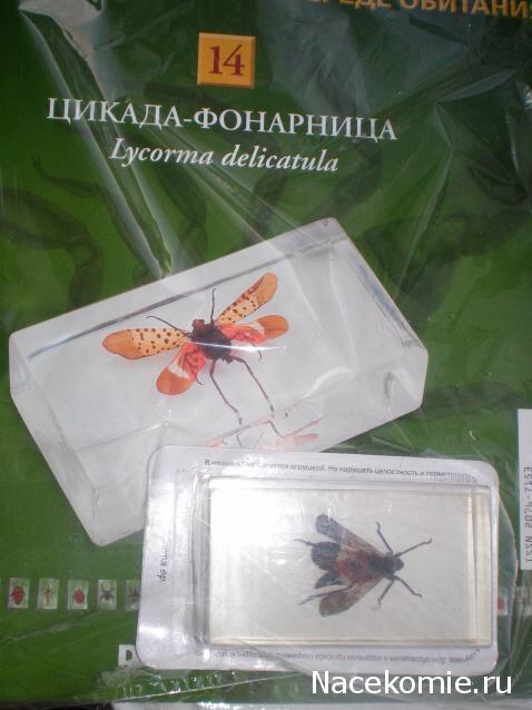 Насекомые и их знакомые 2014 - График Выхода и обсуждение