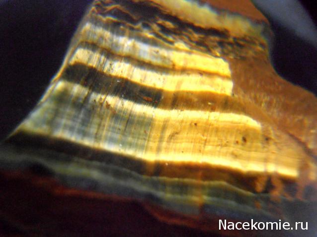 Чудеса Природы  №3 - Тигровый глаз