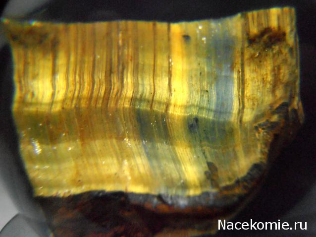 Чудеса Природы  №3 - Тигровый глаз