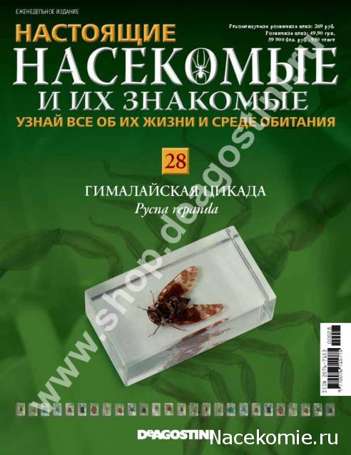 Насекомые и их знакомые 2014 - График Выхода и обсуждение