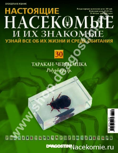 Насекомые и их знакомые 2014 - График Выхода и обсуждение