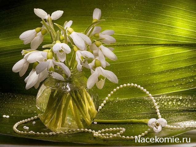 Наши Дни Рождения