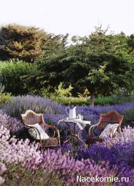 repLIka - Лучше поздно, чем никогда