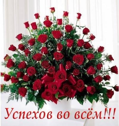 IriSelena. Вне стиля, или Непонятный домик