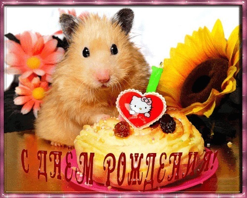 Дом Мечты наши дни рождения