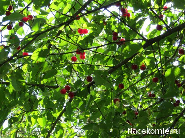 Куклы в народных костюмах №63 Кукла в праздничном костюме крымской татарки