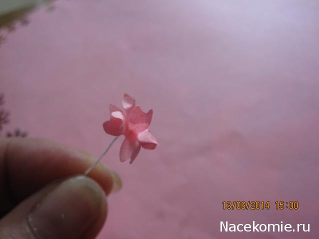 Мастер Класс всё для Дома Мечты
