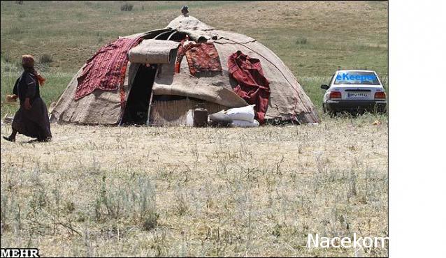 Наполеоновские Войны - Новая флудилка