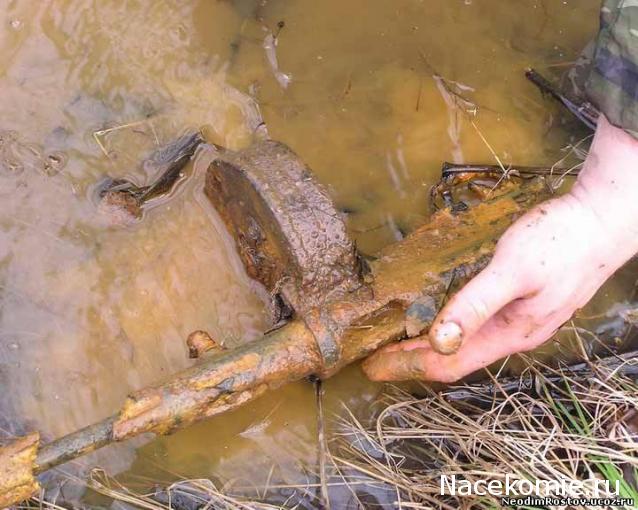 Наполеоновские Войны - Новая флудилка