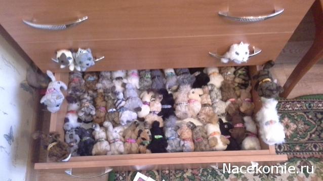 Кошкин дом. Болталка The Cat Collection