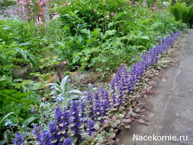 Moshule - Стройка века