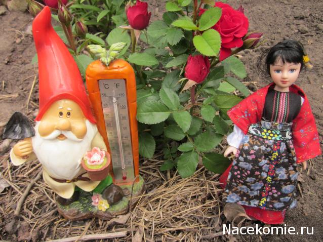 Куклы в Костюмах Народов Мира №10 - Румыния