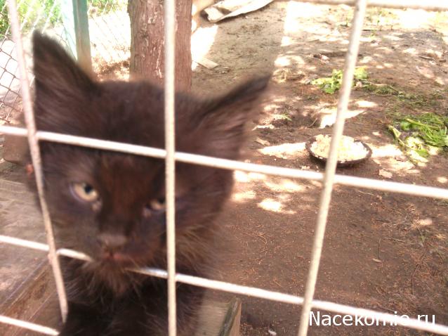 wangels  Имение Рапти - реконструкция мечты!