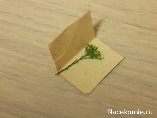 leonidovna - Ниша мечты