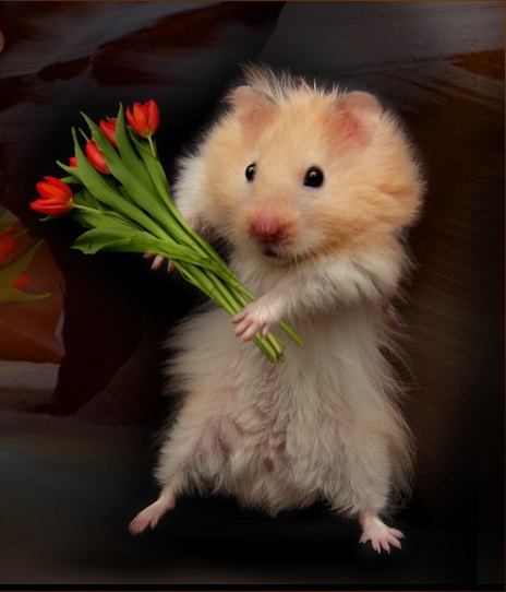 Дом Мечты наши дни рождения