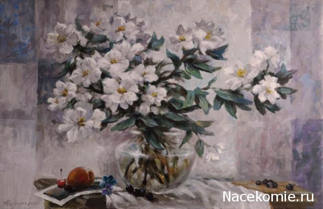 Наши Дни Рождения