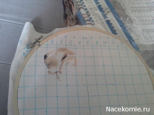 100 крестиков!