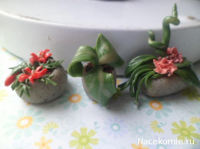 Anastasia24 Мой маленький мир...или ушла в детство))