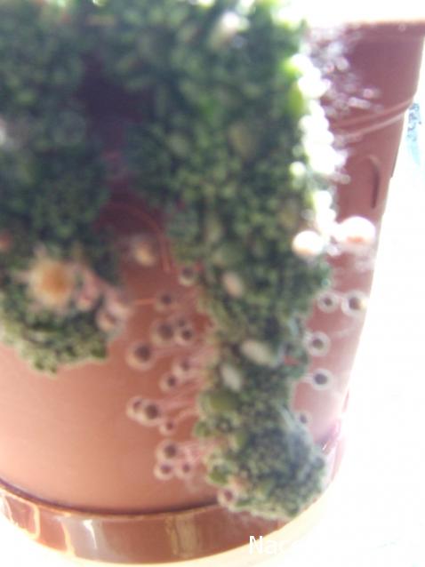 Rosinka07 - Домики бабушек