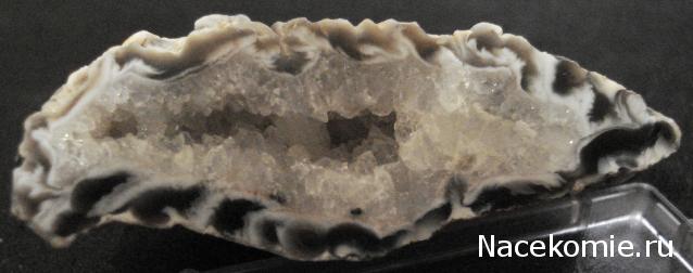 Минералы Сокровища Земли №42 - Жеода Халцедона