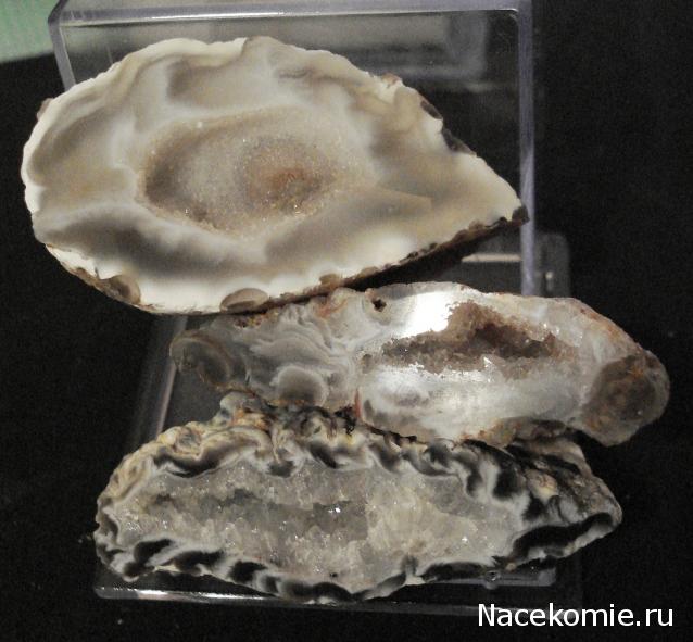 Минералы Сокровища Земли №42 - Жеода Халцедона