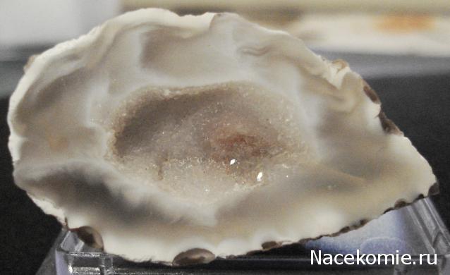 Минералы Сокровища Земли №42 - Жеода Халцедона