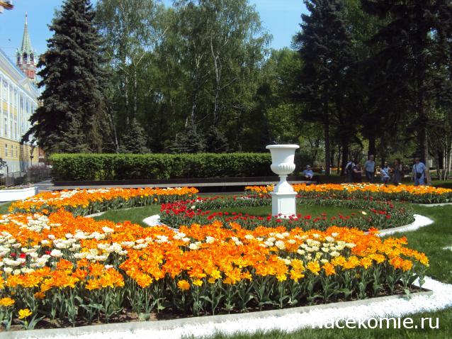 Практика. Задания с картинками