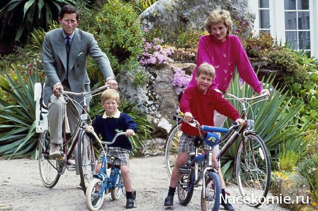 Практика. Задания с картинками