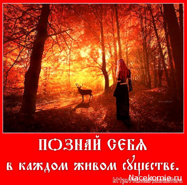 Куклы в народных костюмах – "Девчушки-болтушки"