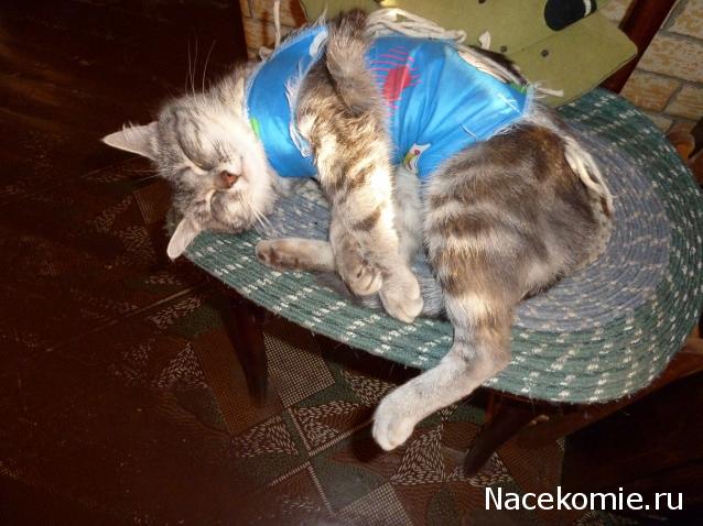 Куклы в народных костюмах – "Девчушки-болтушки"