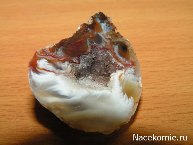 Минералы Сокровища Земли №42 - Жеода Халцедона