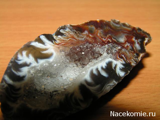 Минералы Сокровища Земли №42 - Жеода Халцедона