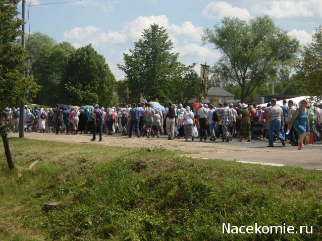 Собери Чёрную жемчужину. Пиратский трёп