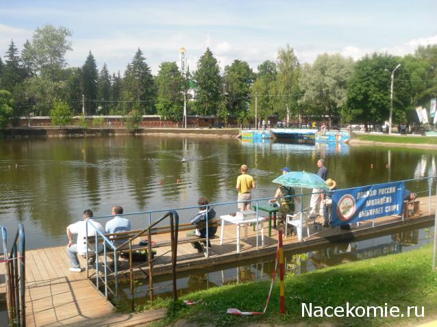 Собери Чёрную жемчужину. Пиратский трёп