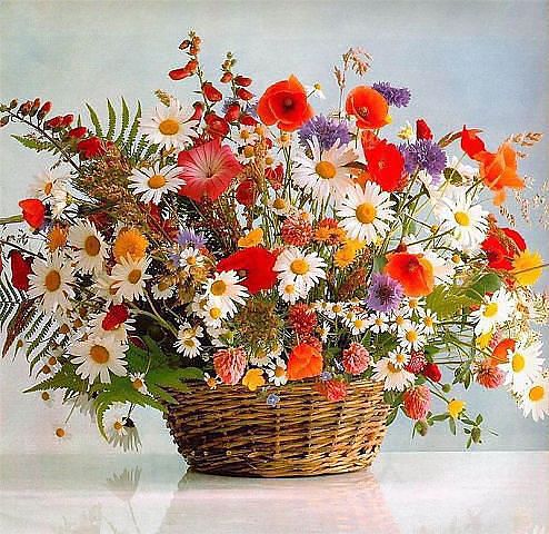 Наши Дни Рождения